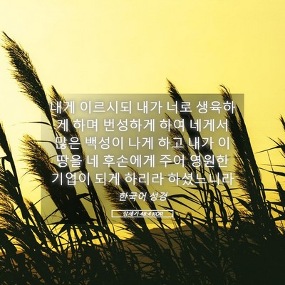 Picture 05 - 창세기 48:4 KOR - 내게 이르시되 내가 너로 생육하게 - Bible Verse Picture