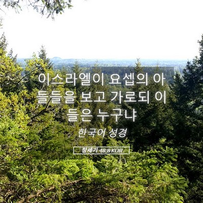 Picture 05 - 창세기 48:8 KOR - 이스라엘이 요셉의 아들들을 보고 - Bible Verse Picture