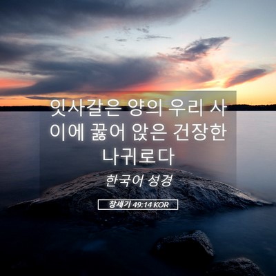 Picture 05 - 창세기 49:14 KOR - 잇사갈은 양의 우리 사이에 꿇어 - Bible Verse Picture