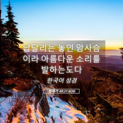 Picture 05 - 창세기 49:21 KOR - 납달리는 놓인 암사슴이라 아름다운 - Bible Verse Picture
