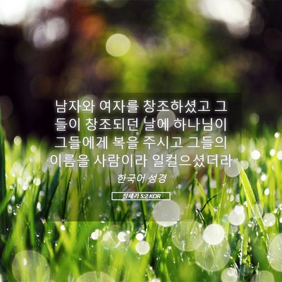 Picture 05 - 창세기 5:2 KOR - 남자와 여자를 창조하셨고 그들이 - Bible Verse Picture