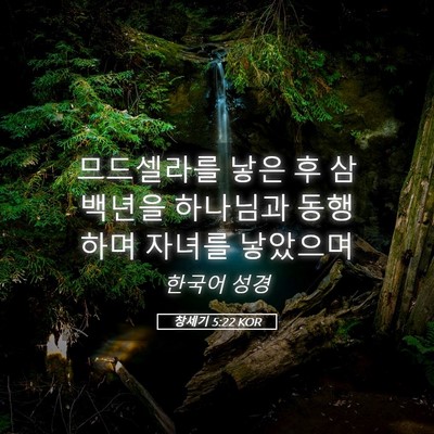 Picture 05 - 창세기 5:22 KOR - 므드셀라를 낳은 후 삼백년을 - Bible Verse Picture