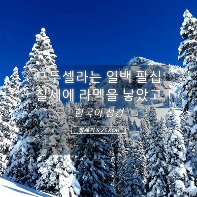 Picture 05 - 창세기 5:25 KOR - 므두셀라는 일백 팔십칠세에 라멕을 - Bible Verse Picture