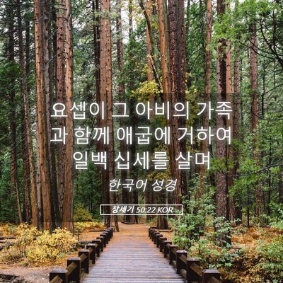 Picture 05 - 창세기 50:22 KOR - 요셉이 그 아비의 가족과 함께 - Bible Verse Picture