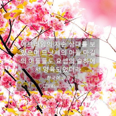 Picture 05 - 창세기 50:23 KOR - 에브라임의 자손 삼대를 보았으며 - Bible Verse Picture