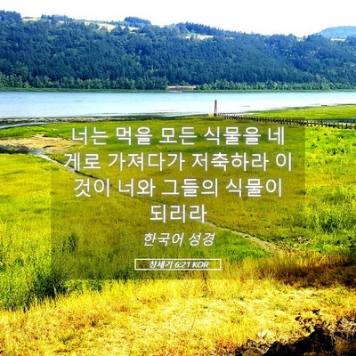 Picture 05 - 창세기 6:21 KOR - 너는 먹을 모든 식물을 네게로 - Bible Verse Picture