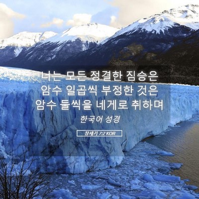 Picture 05 - 창세기 7:2 KOR - 너는 모든 정결한 짐승은 암수 - Bible Verse Picture