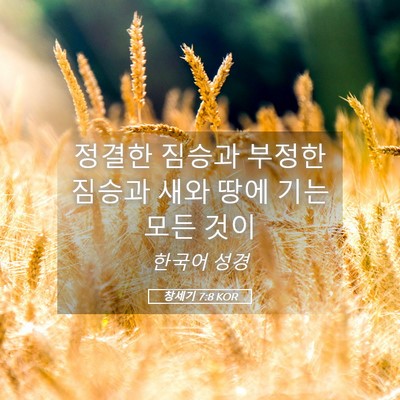 Picture 05 - 창세기 7:8 KOR - 정결한 짐승과 부정한 짐승과 새와 - Bible Verse Picture