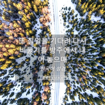 Picture 05 - 창세기 8:10 KOR - 또 칠일을 기다려 다시 비둘기를 - Bible Verse Picture