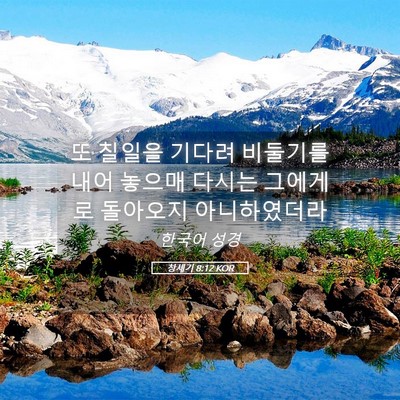 Picture 05 - 창세기 8:12 KOR - 또 칠일을 기다려 비둘기를 내어 - Bible Verse Picture