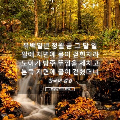 Picture 05 - 창세기 8:13 KOR - 육백일년 정월 곧 그 달 일일에 - Bible Verse Picture