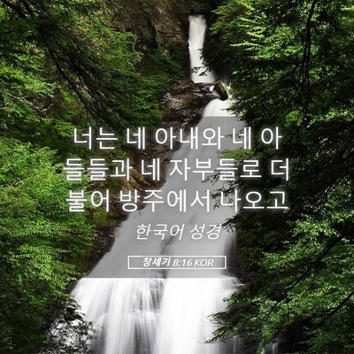 Picture 05 - 창세기 8:16 KOR - 너는 네 아내와 네 아들들과 네 - Bible Verse Picture