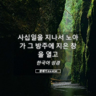 Picture 05 - 창세기 8:6 KOR - 사십일을 지나서 노아가 그 방주에 - Bible Verse Picture