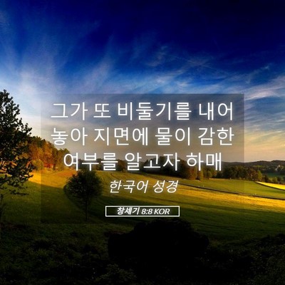Picture 05 - 창세기 8:8 KOR - 그가 또 비둘기를 내어 놓아 지면에 - Bible Verse Picture
