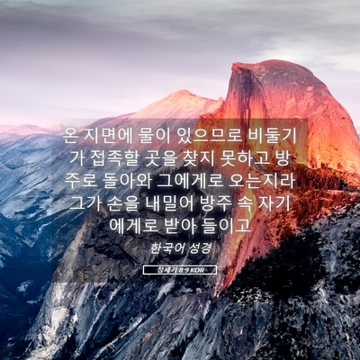 Picture 05 - 창세기 8:9 KOR - 온 지면에 물이 있으므로 비둘기가 - Bible Verse Picture