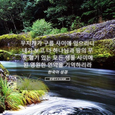 Picture 05 - 창세기 9:16 KOR - 무지개가 구름 사이에 있으리니 내가 - Bible Verse Picture