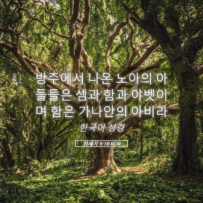 Picture 05 - 창세기 9:18 KOR - 방주에서 나온 노아의 아들들은 셈과 - Bible Verse Picture