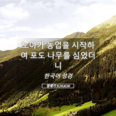 Picture 05 - 창세기 9:20 KOR - 노아가 농업을 시작하여 포도 나무를 - Bible Verse Picture