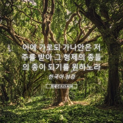 Picture 05 - 창세기 9:25 KOR - 이에 가로되 가나안은 저주를 받아 - Bible Verse Picture
