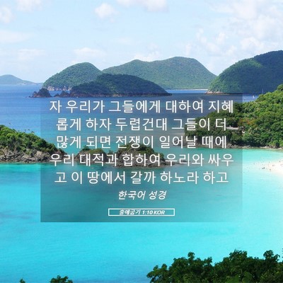 Picture 05 - 출애굽기 1:10 KOR - 자 우리가 그들에게 대하여 지혜롭게 - Bible Verse Picture