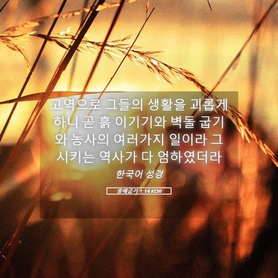 Picture 05 - 출애굽기 1:14 KOR - 고역으로 그들의 생활을 괴롭게 하니 - Bible Verse Picture