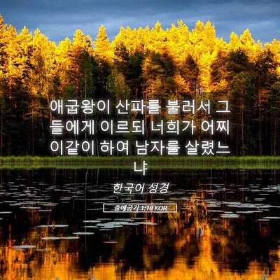 Picture 05 - 출애굽기 1:18 KOR - 애굽왕이 산파를 불러서 그들에게 - Bible Verse Picture