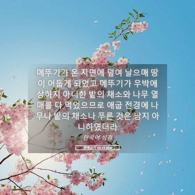 Picture 05 - 출애굽기 10:15 KOR - 메뚜기가 온 지면에 덮여 날으매 - Bible Verse Picture