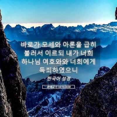 Picture 05 - 출애굽기 10:16 KOR - 바로가 모세와 아론을 급히 불러서 - Bible Verse Picture