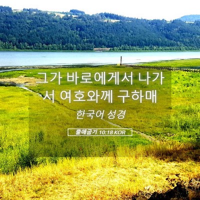Picture 05 - 출애굽기 10:18 KOR - 그가 바로에게서 나가서 여호와께 - Bible Verse Picture