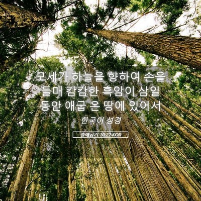 Picture 05 - 출애굽기 10:22 KOR - 모세가 하늘을 향하여 손을 들매 - Bible Verse Picture