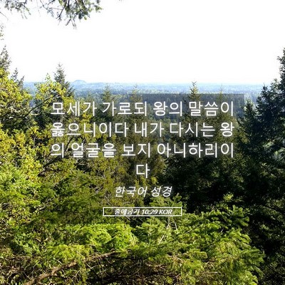 Picture 05 - 출애굽기 10:29 KOR - 모세가 가로되 왕의 말씀이 - Bible Verse Picture