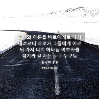 Picture 05 - 출애굽기 10:8 KOR - 모세와 아론을 바로에게로 다시 - Bible Verse Picture