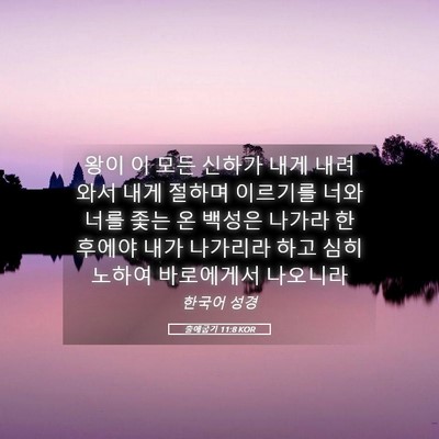 Picture 05 - 출애굽기 11:8 KOR - 왕이 이 모든 신하가 내게 내려와서 - Bible Verse Picture