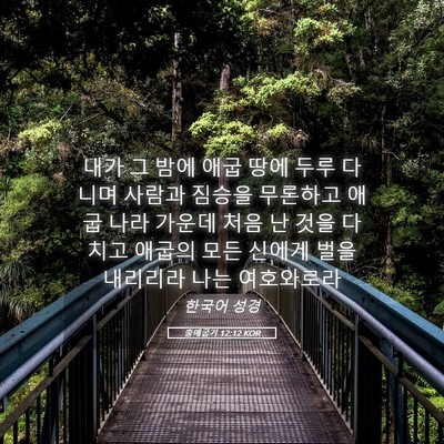 Picture 05 - 출애굽기 12:12 KOR - 내가 그 밤에 애굽 땅에 두루 다니며 - Bible Verse Picture