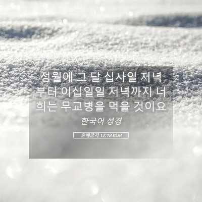 Picture 05 - 출애굽기 12:18 KOR - 정월에 그 달 십사일 저녁부터 - Bible Verse Picture