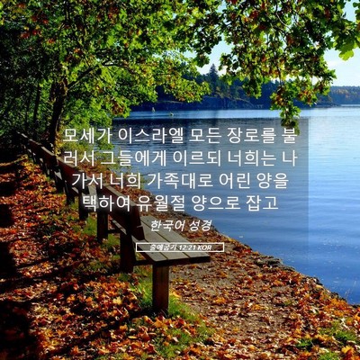 Picture 05 - 출애굽기 12:21 KOR - 모세가 이스라엘 모든 장로를 불러서 - Bible Verse Picture