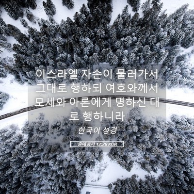 Picture 05 - 출애굽기 12:28 KOR - 이스라엘 자손이 물러가서 그대로 - Bible Verse Picture