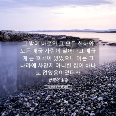Picture 05 - 출애굽기 12:30 KOR - 그 밤에 바로와 그 모든 신하와 모든 - Bible Verse Picture