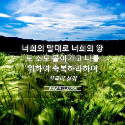 Picture 05 - 출애굽기 12:32 KOR - 너희의 말대로 너희의 양도 소도 - Bible Verse Picture