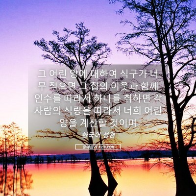 Picture 05 - 출애굽기 12:4 KOR - 그 어린 양에 대하여 식구가 너무 - Bible Verse Picture