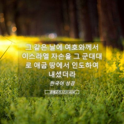 Picture 05 - 출애굽기 12:51 KOR - 그 같은 날에 여호와께서 이스라엘 - Bible Verse Picture