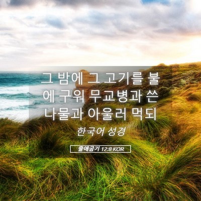 Picture 05 - 출애굽기 12:8 KOR - 그 밤에 그 고기를 불에 구워 - Bible Verse Picture