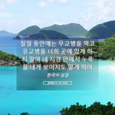 Picture 05 - 출애굽기 13:7 KOR - 칠일 동안에는 무교병을 먹고 - Bible Verse Picture