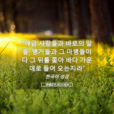 Picture 05 - 출애굽기 14:23 KOR - 