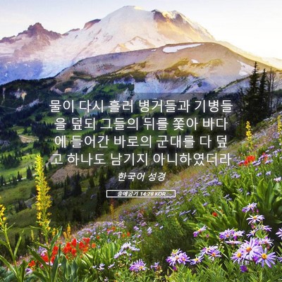 Picture 05 - 출애굽기 14:28 KOR - 물이 다시 흘러 병거들과 기병들을 - Bible Verse Picture