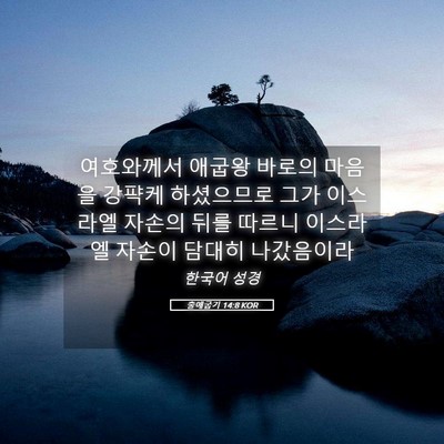 Picture 05 - 출애굽기 14:8 KOR - 여호와께서 애굽왕 바로의 마음을 - Bible Verse Picture
