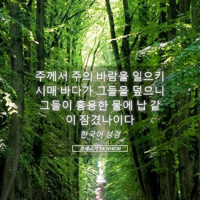 Picture 05 - 출애굽기 15:10 KOR - 주께서 주의 바람을 일으키시매 - Bible Verse Picture