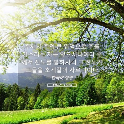 Picture 05 - 출애굽기 15:7 KOR - 주께서 주의 큰 위엄으로 주를 - Bible Verse Picture