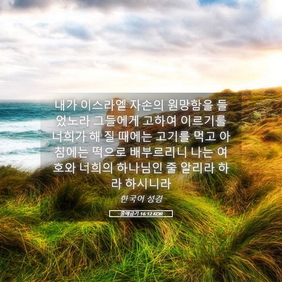 Picture 05 - 출애굽기 16:12 KOR - 내가 이스라엘 자손의 원망함을 - Bible Verse Picture