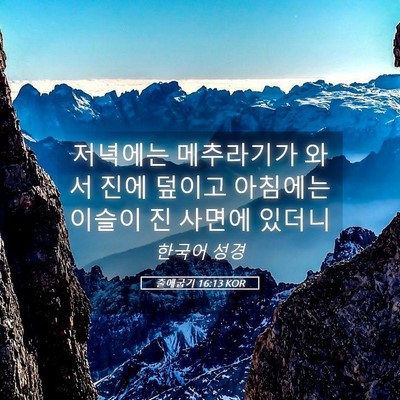 Picture 05 - 출애굽기 16:13 KOR - 저녁에는 메추라기가 와서 진에 - Bible Verse Picture